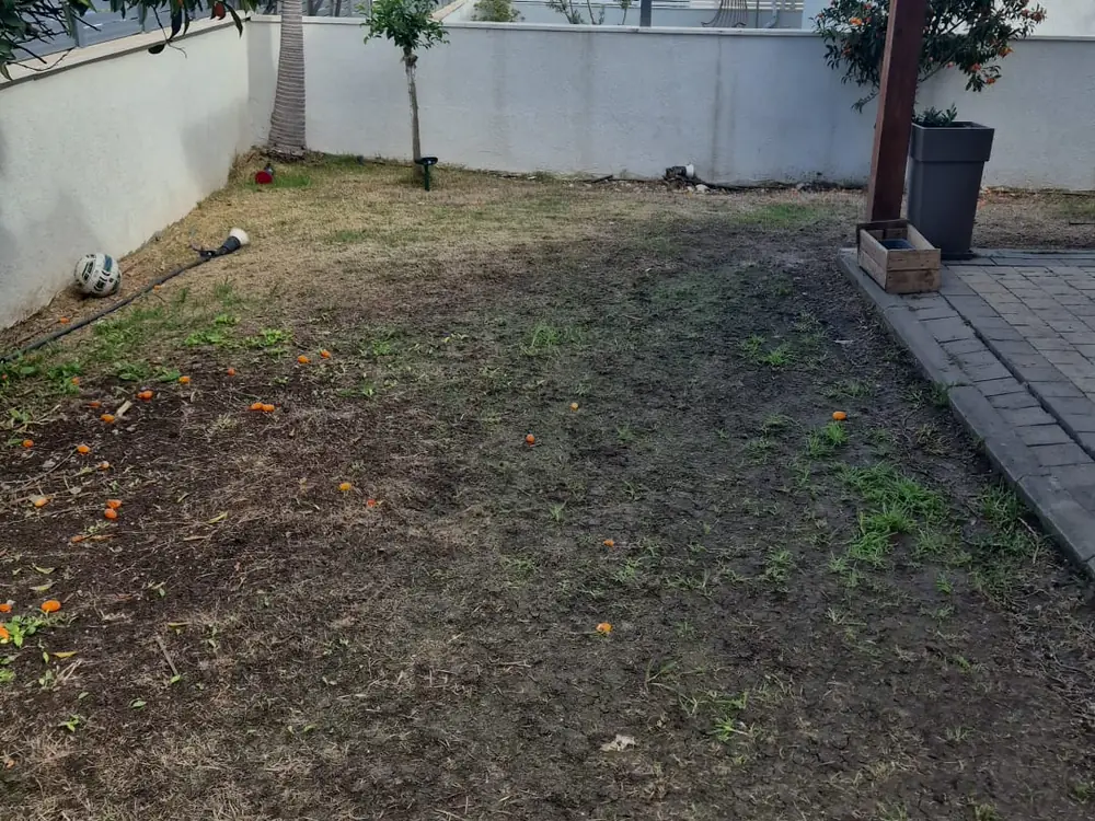 לפני: אותה חצר עם דשא יבש ואדמה חשופה