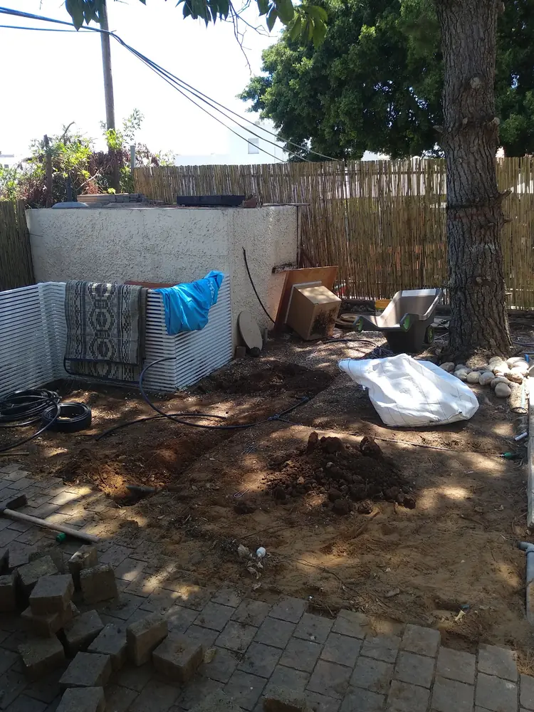 היום הראשון: ריצוף ישן ואדמה חשופה